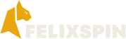 Felixspin logo desktop